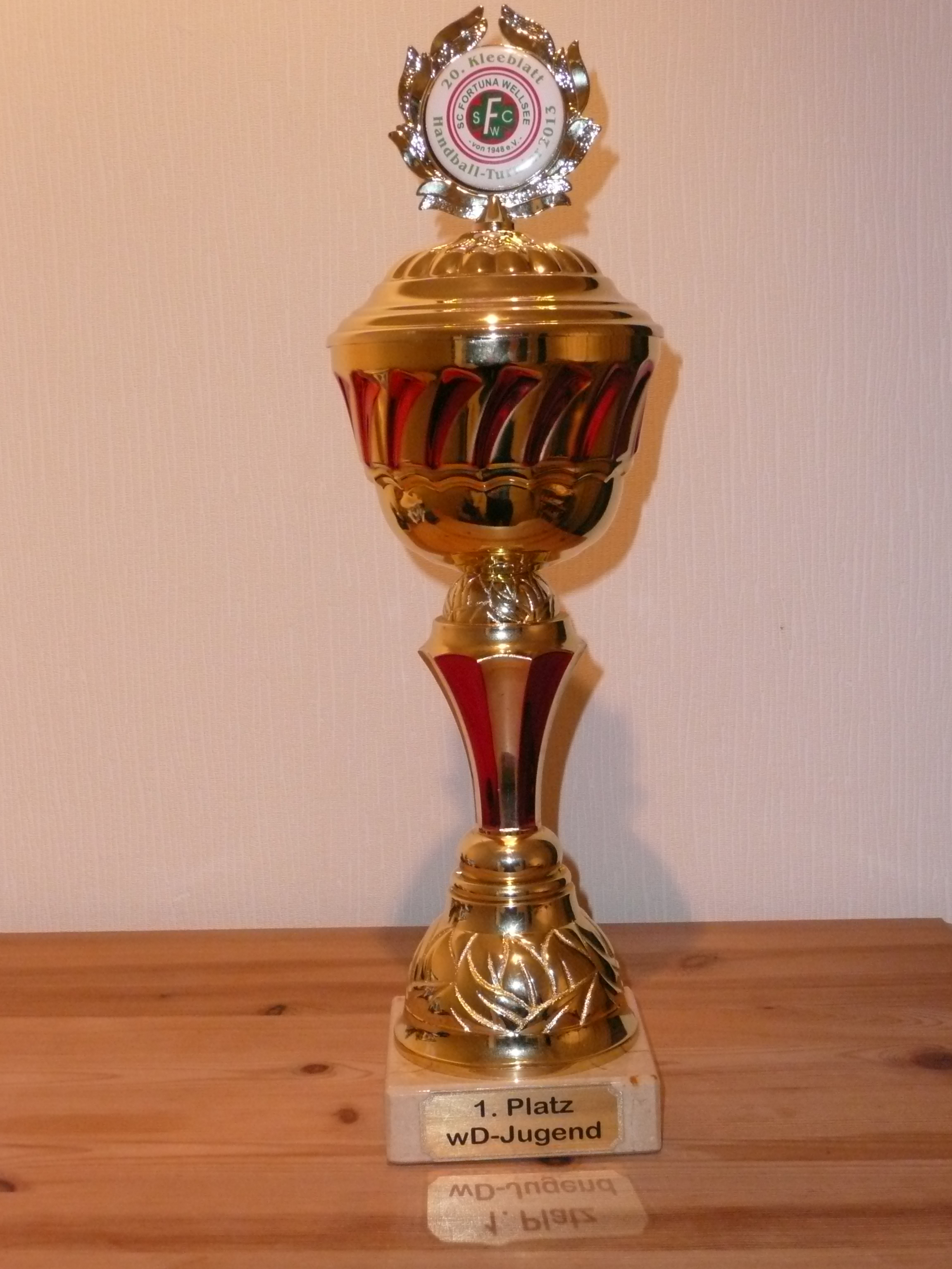 SWE Handball weibl. D-Jugend Siegerpokal Wellsee